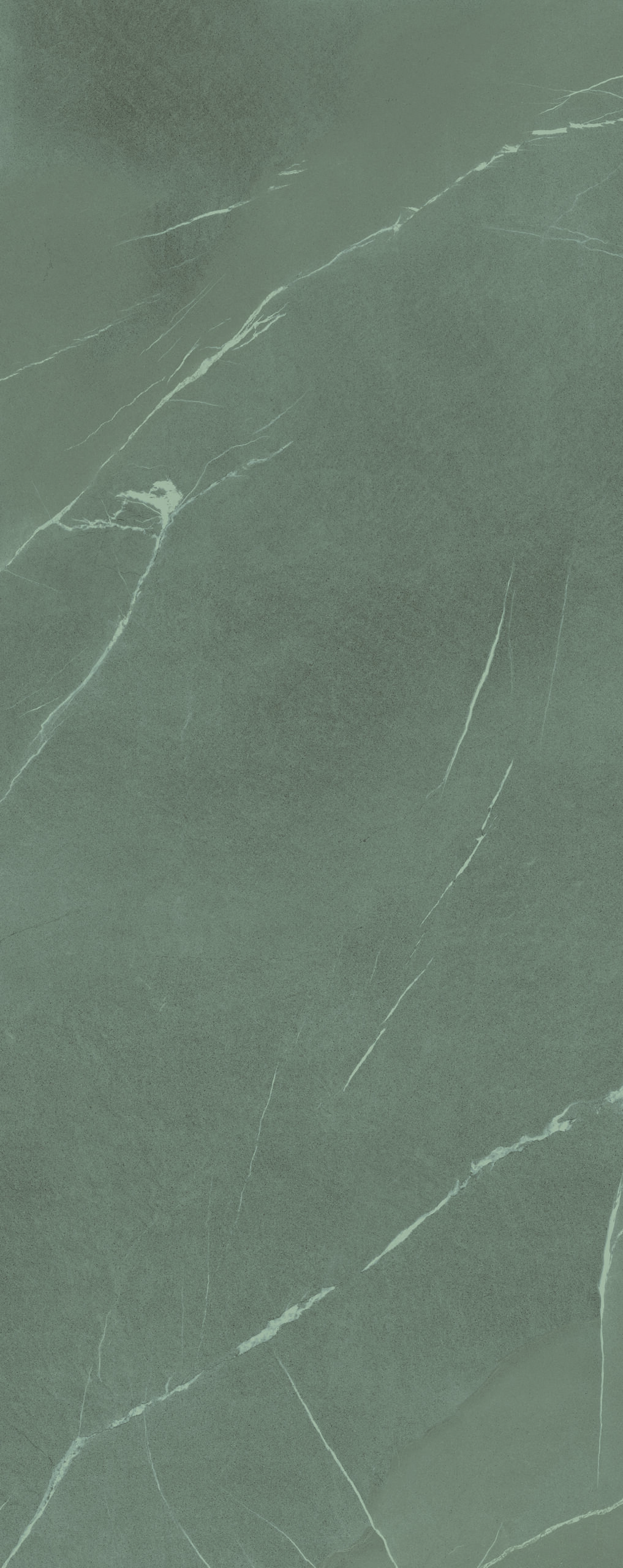 Pietra Piassentina Grigia